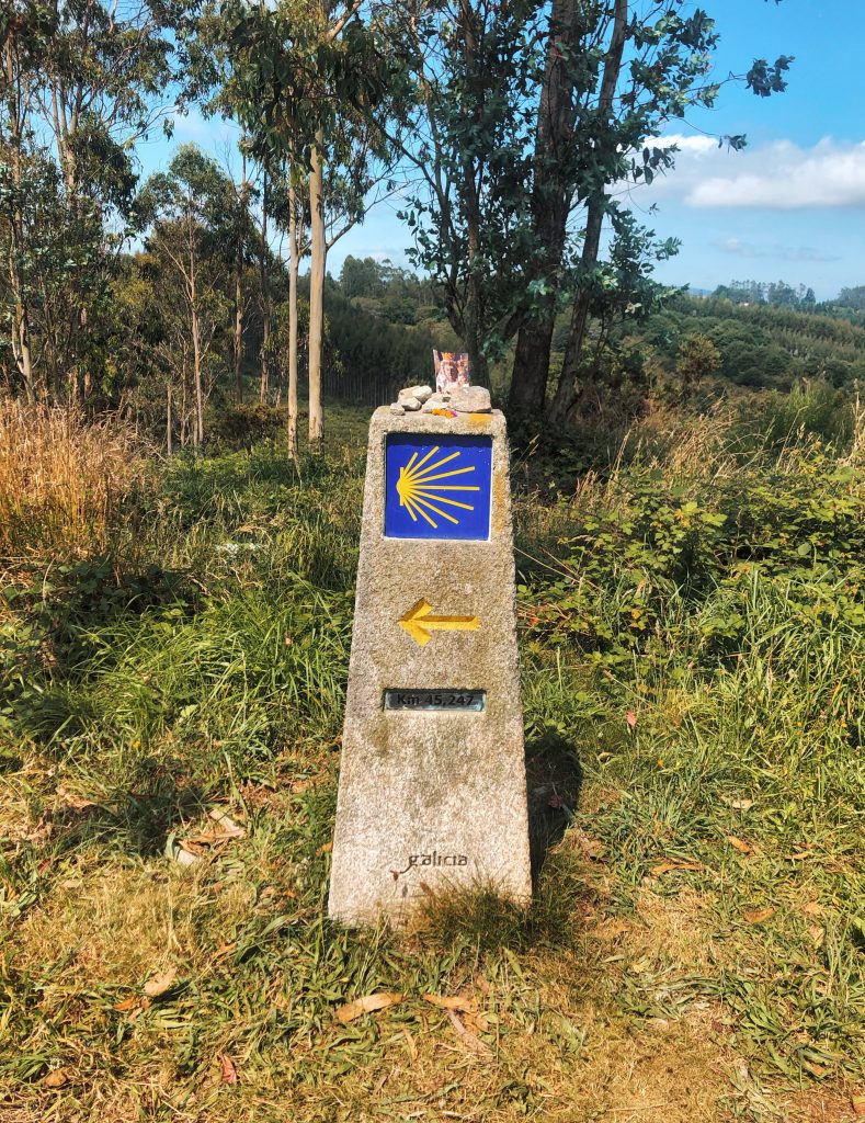 Camino Ingles – Santiago II